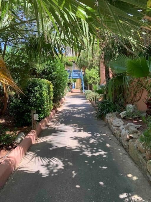 Appartement Cosy Confort Parking Clim Wifi Linge Acces Piscine Non Inclus Canet-en-Roussillon Exterior photo